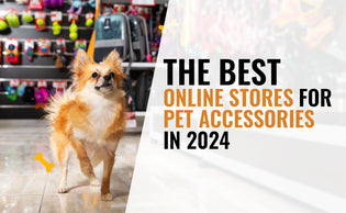  The Best Online Stores for Pet Accessories in 2024