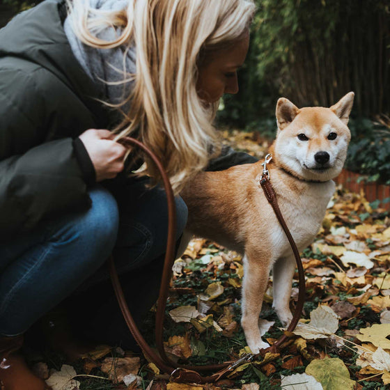 Training leash Round & Soft Cody