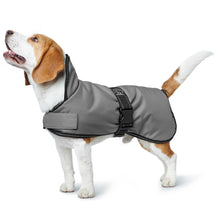  Dog coat Denali