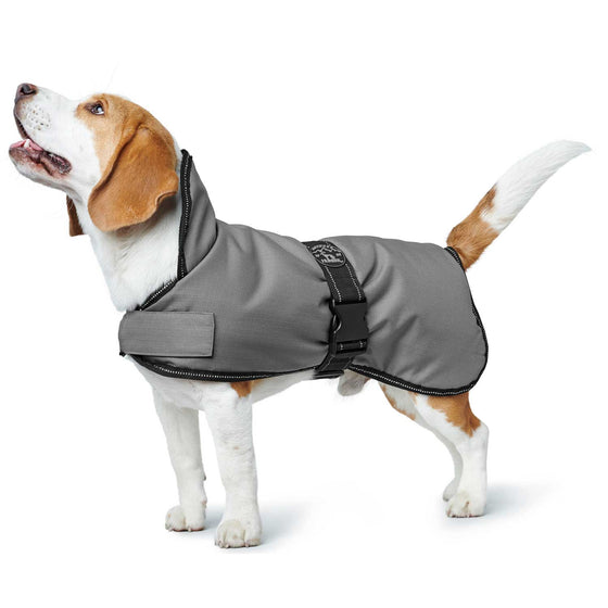 Dog coat Denali