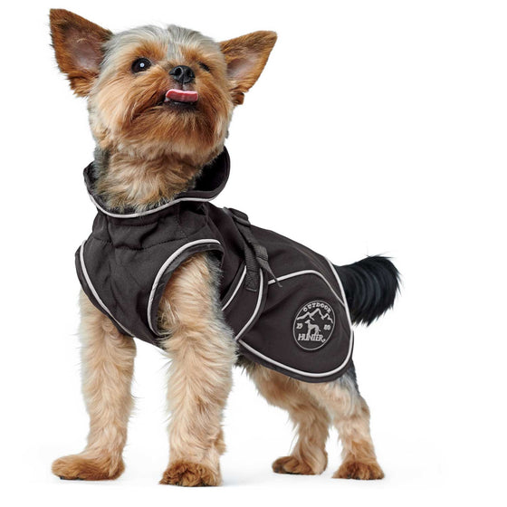 Dog coat Uppsala Softshell