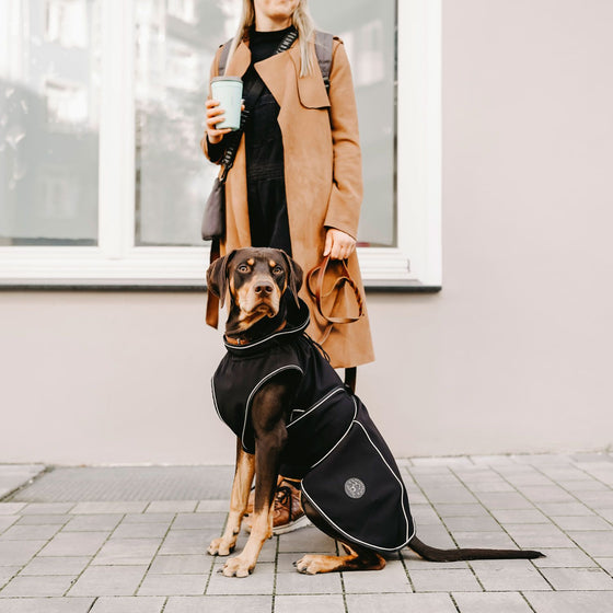 Dog coat Uppsala Softshell