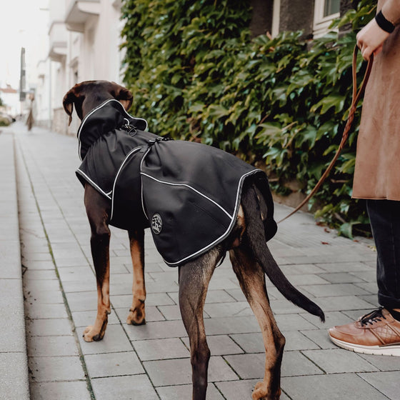 Dog coat Uppsala Softshell