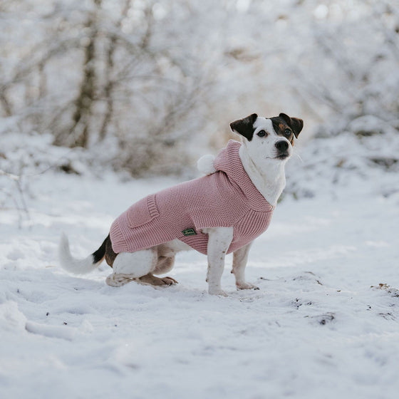 Dog pullover Rögla