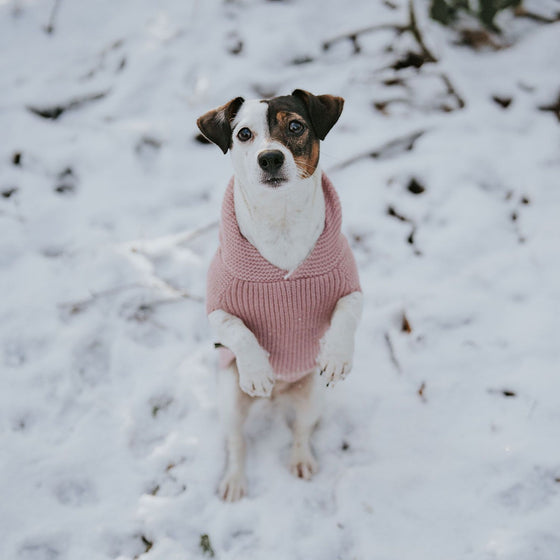 Dog pullover Rögla