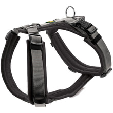  Harness Maldon