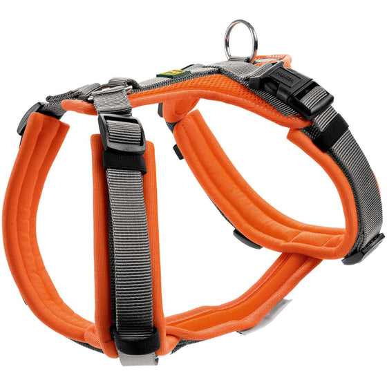 Harness Maldon