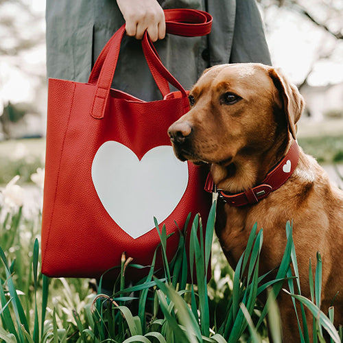 Collar Love