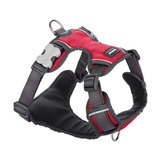 PADDED HARNESS