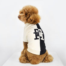  DOG COLOR-BLOCKED SWEAT SHIRT