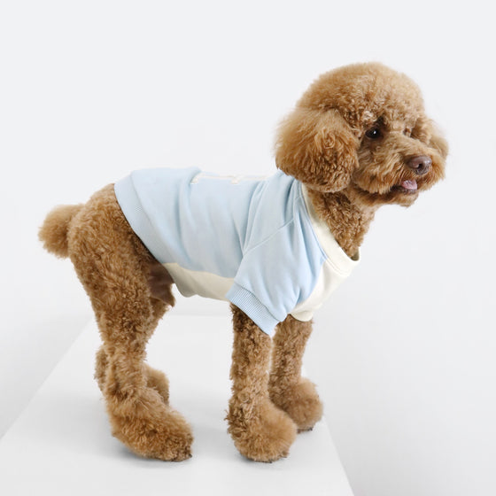 DOG COLOR-BLOCKED SWEAT SHIRT