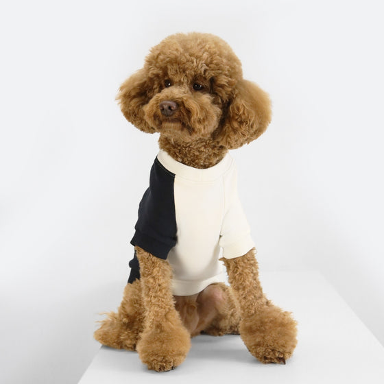 DOG COLOR-BLOCKED SWEAT SHIRT