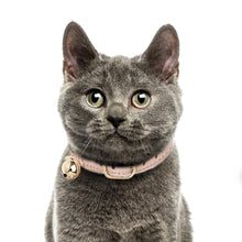  VENDÔME PINK LEATHER CAT COLLAR
