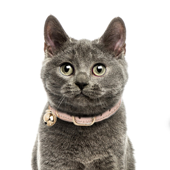 VENDÔME PINK LEATHER CAT COLLAR