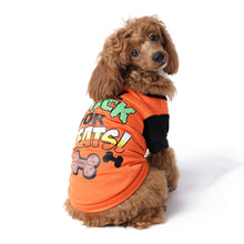  Pet Halloween Theme T-Shirt - Orange
