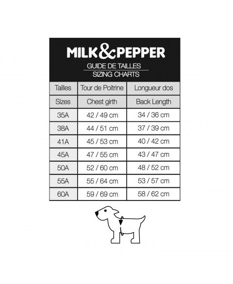 SPENCER CAPE GOLD