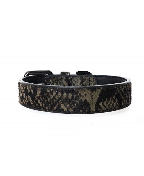 IGUANIA CAT COLLAR