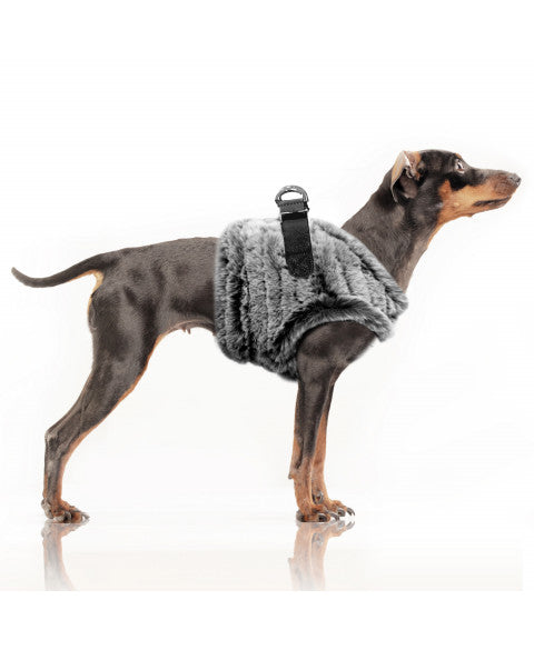 JOSEF HARNESS GREY FUR