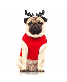  NIKKO VELVET T-SWEATER  RED "REINDEER"