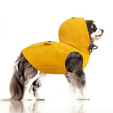  BABORD WINDBREAKER - YELLOW - Kanineindia