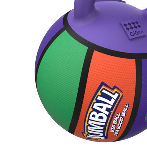 BASKET BALL TOY - Kanineindia