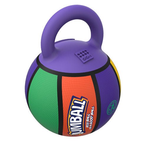 BASKET BALL TOY - Kanineindia