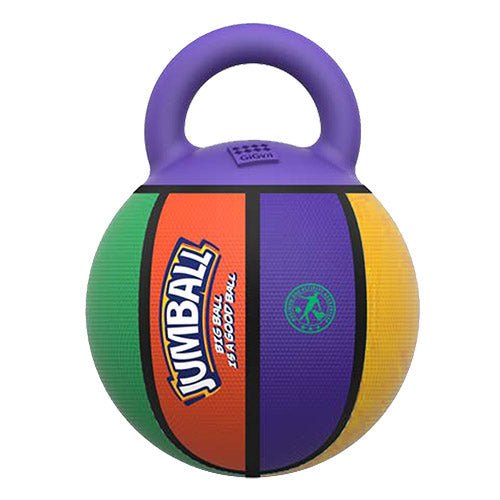 BASKET BALL TOY - Kanineindia