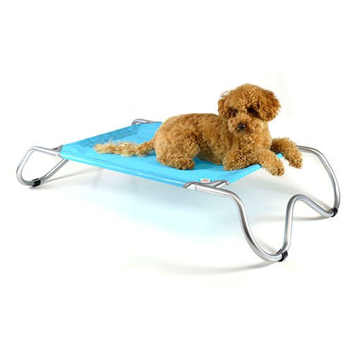 BONENOTTE - BONE SHAPED DOG BED - Kanineindia