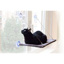  CAT VIEW - WINDOW LOUNGE FOR CATS - Kanineindia