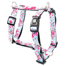  Cherry Bloom - H-Harness - Kanineindia