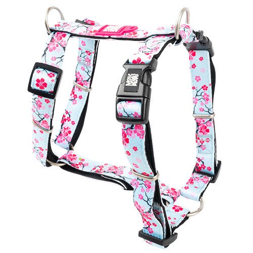 Cherry Bloom - H-Harness - Kanineindia