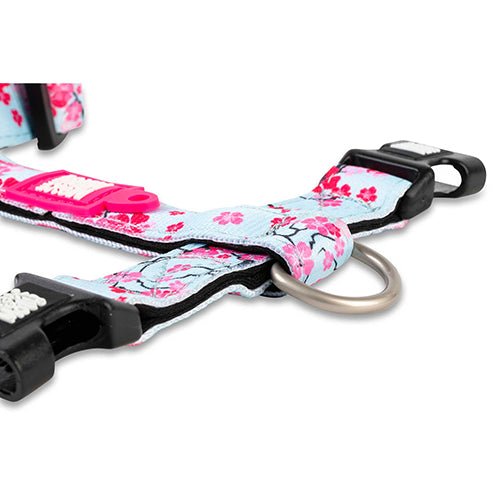 Cherry Bloom - H-Harness - Kanineindia