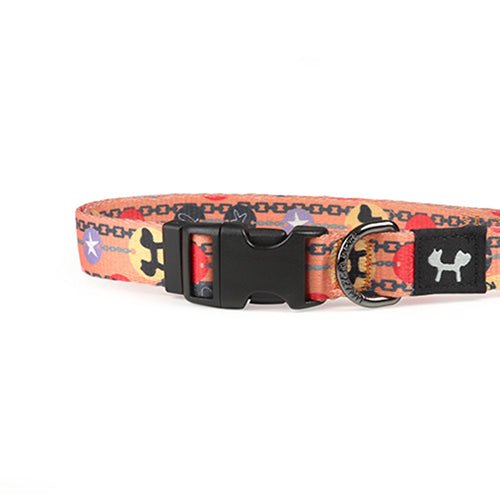 COMPLETE ME 2 COLLAR - ORANGE - Kanineindia