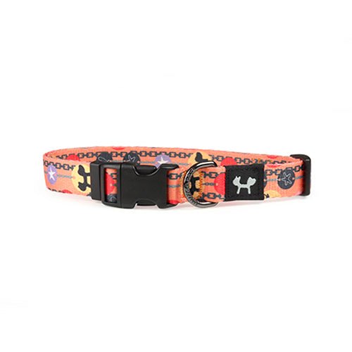 COMPLETE ME 2 COLLAR - ORANGE - Kanineindia