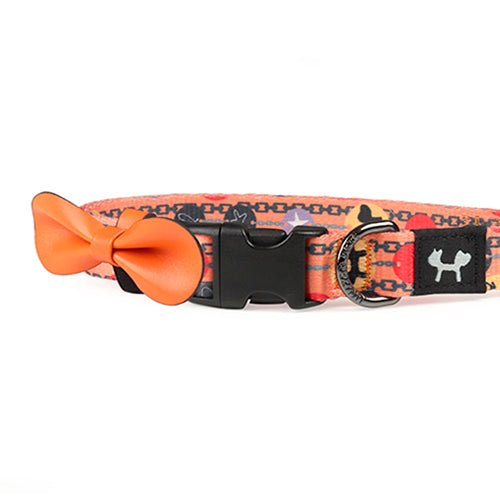 COMPLETE ME 2 COLLAR - ORANGE - Kanineindia