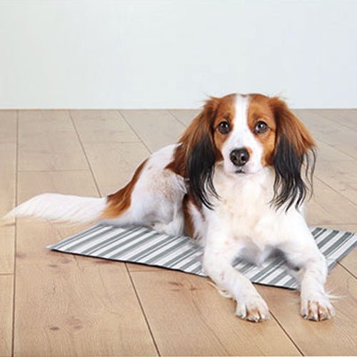 COOLING MAT - WHITE/GREY - Kanineindia