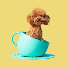  CUP DOG BOWL - Kanineindia