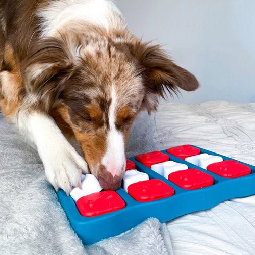 DOG BRICK GAME BLUE - Kanineindia