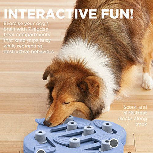 DOG HIDE N SLIDE INTERACTIVE TREAT - Kanineindia