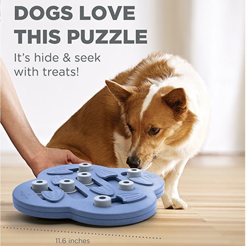 DOG HIDE N SLIDE INTERACTIVE TREAT - Kanineindia