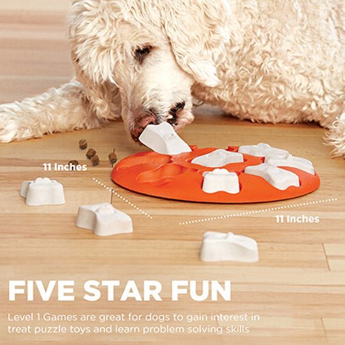 DOG SMART PUZZLE - Kanineindia