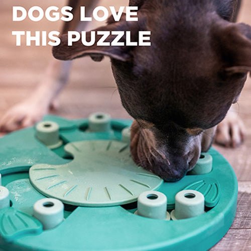 DOG WORKER INTERACTIVE TREAT TOY - Kanineindia