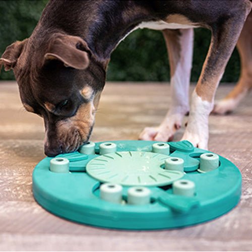 DOG WORKER INTERACTIVE TREAT TOY - Kanineindia