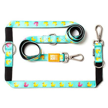  Ducklings - Multi-Function Leash - Kanineindia