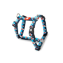  Frenzy the Shark - H-Harness - Kanineindia