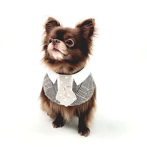 GENTLEPAW DOT TIE INKY - Kanineindia