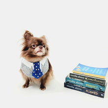  GENTLEPAW DOT TIE - NAVY - Kanineindia