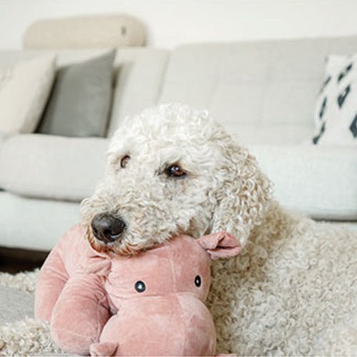 HIPPO PLUSH TOY - Kanineindia