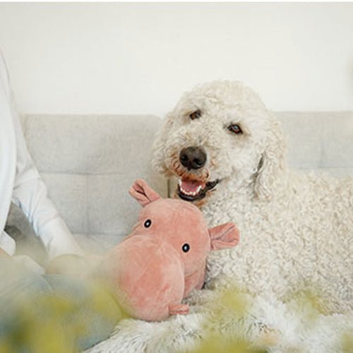 HIPPO PLUSH TOY - Kanineindia