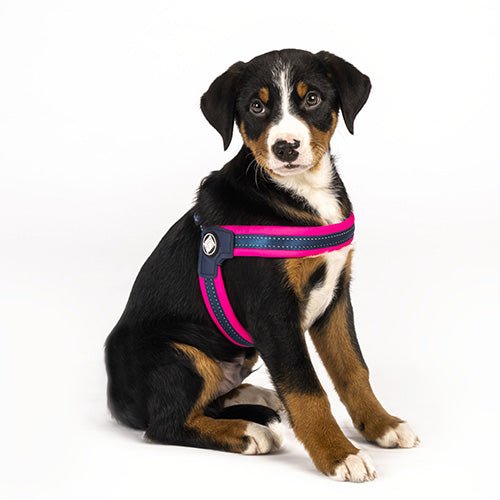 Matrix Pink - Q-Fit Harness - Kanineindia